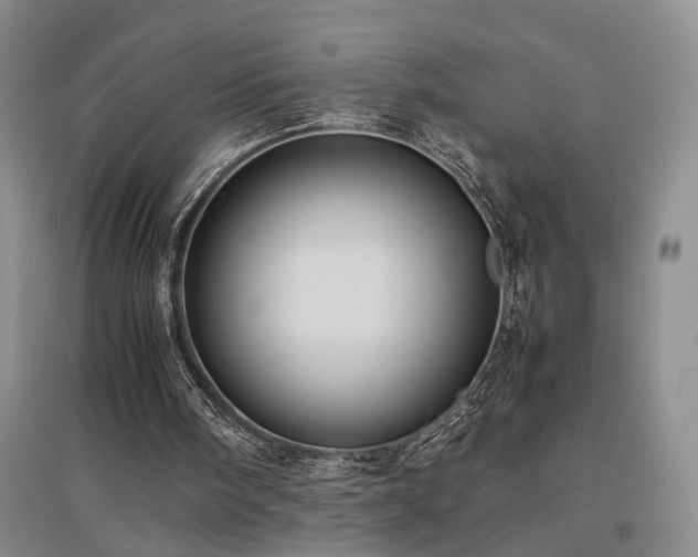 X0000097500098200802221453