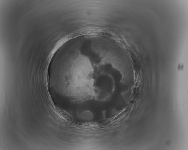 X0000097500099200802221453