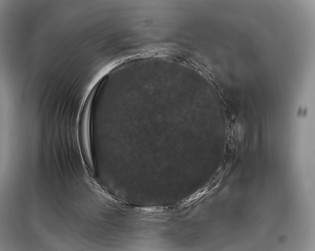 X0000097500100200802221453