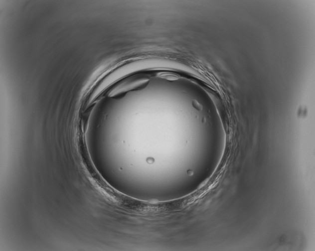 X0000097500101200802221453