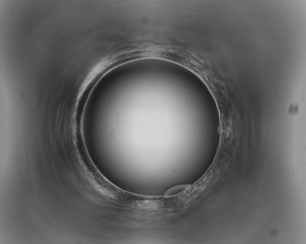 X0000097500102200802221453