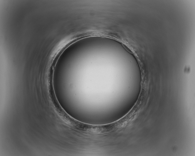 X0000097500103200802221453