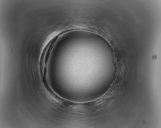 X0000097500104200802221453