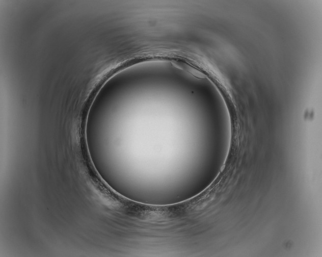 X0000097500107200802221453