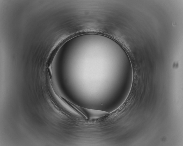 X0000097500108200802221453