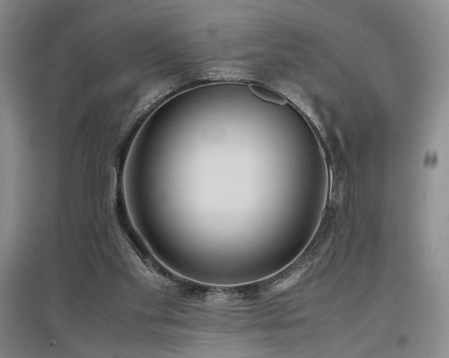 X0000097500109200802221453