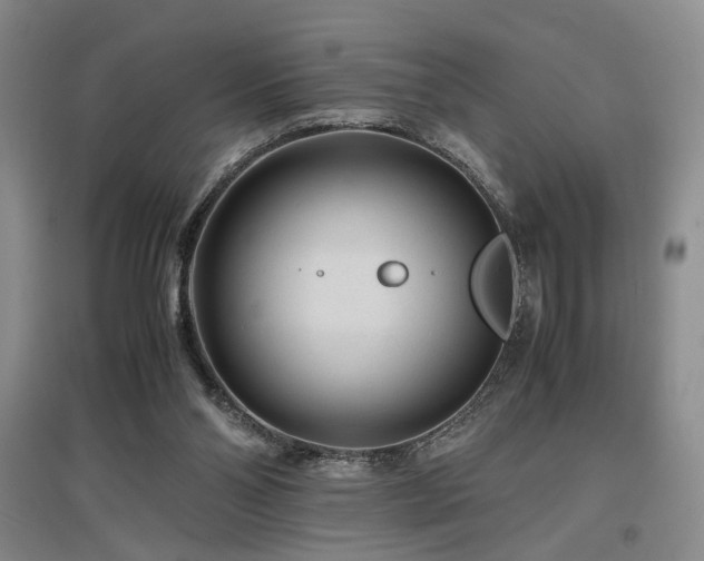 X0000097500110200802221453
