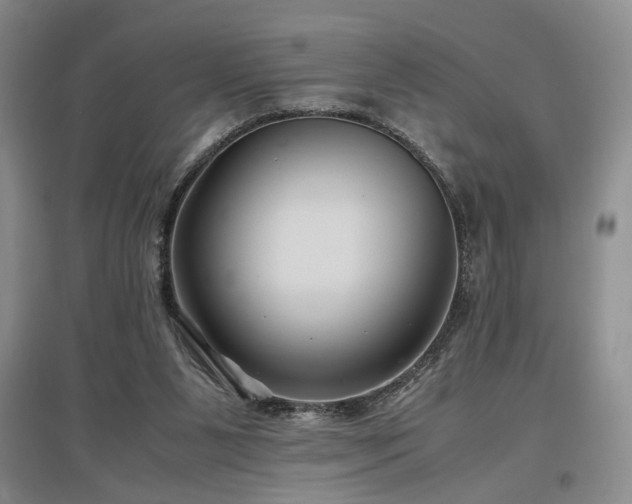X0000097500111200802221453