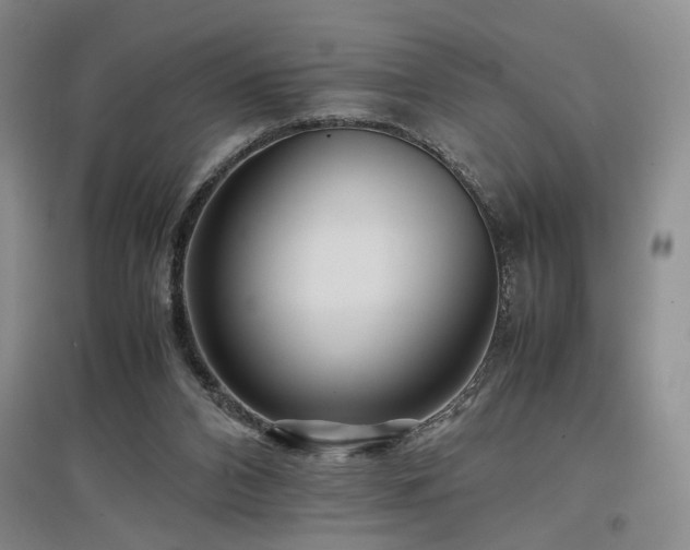 X0000097500112200802221453