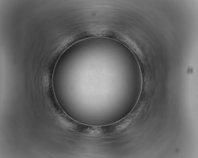 X0000097500113200802221453