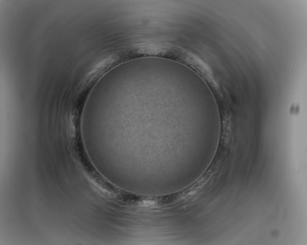 X0000097500114200802221453