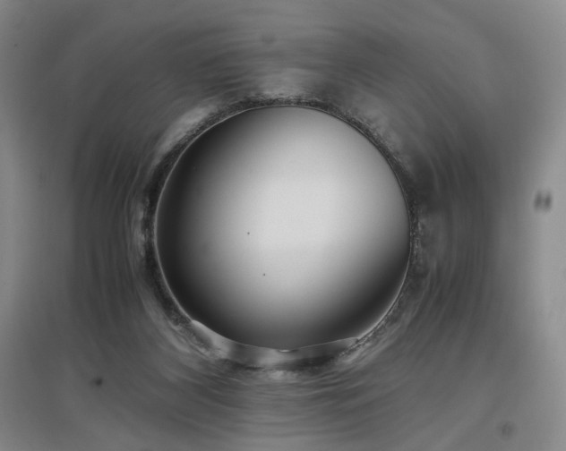 X0000097500116200802221453