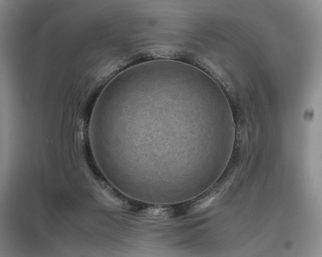 X0000097500117200802221453