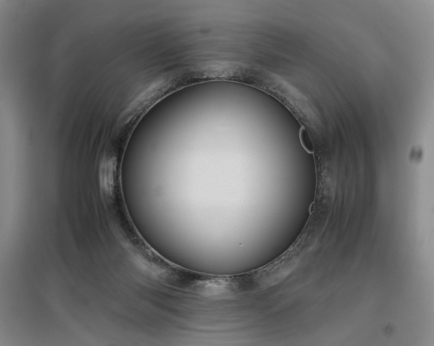 X0000097500118200802221453