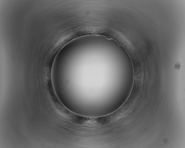 X0000097500119200802221453