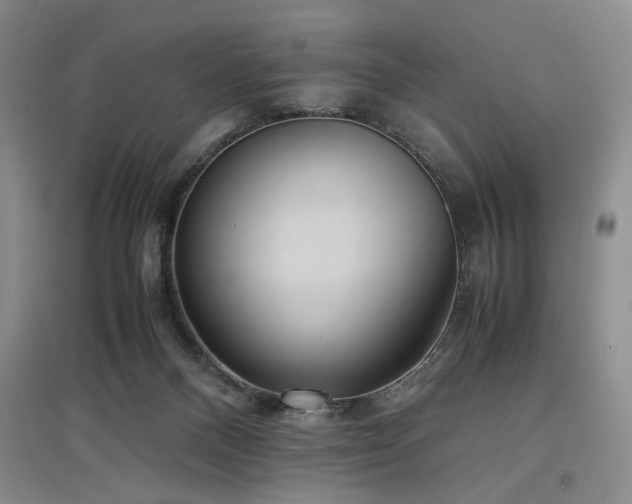 X0000097500120200802221453