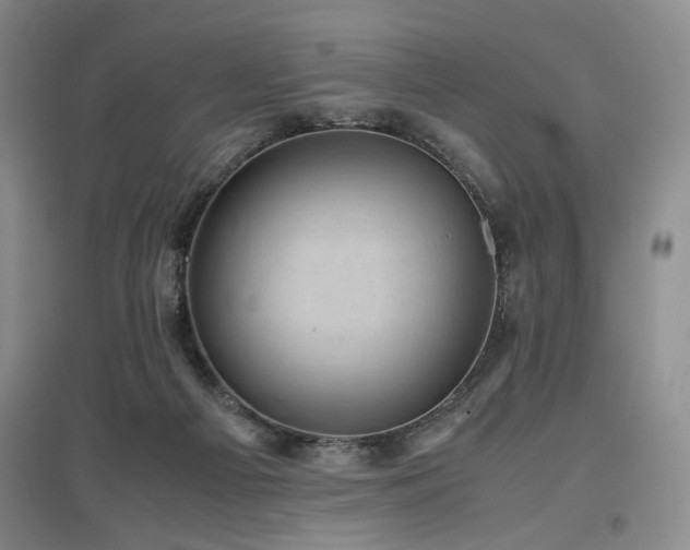 X0000097500121200802221453