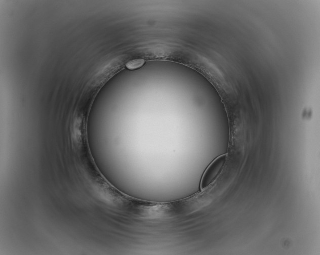 X0000097500122200802221453
