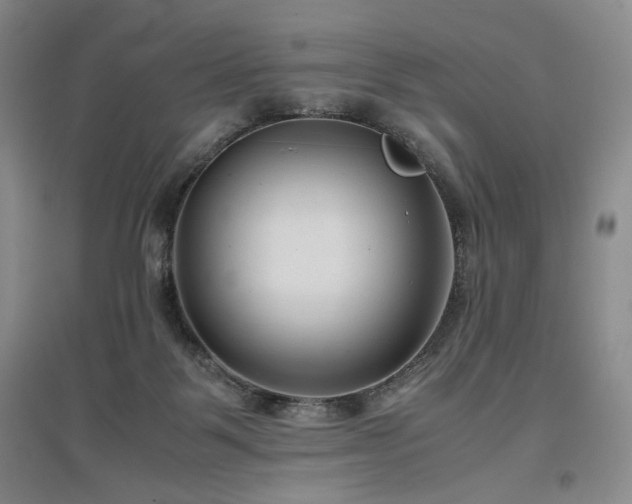 X0000097500123200802221453
