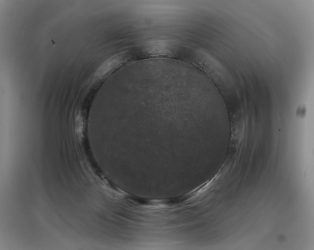 X0000097500124200802221453