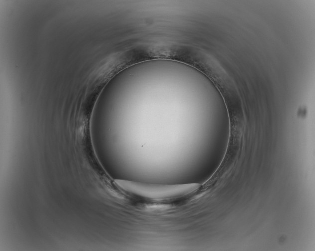 X0000097500125200802221453