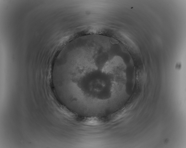 X0000097500127200802221453