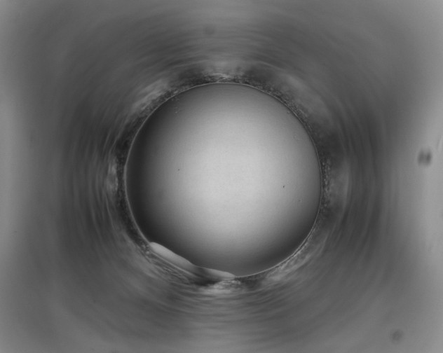 X0000097500128200802221453