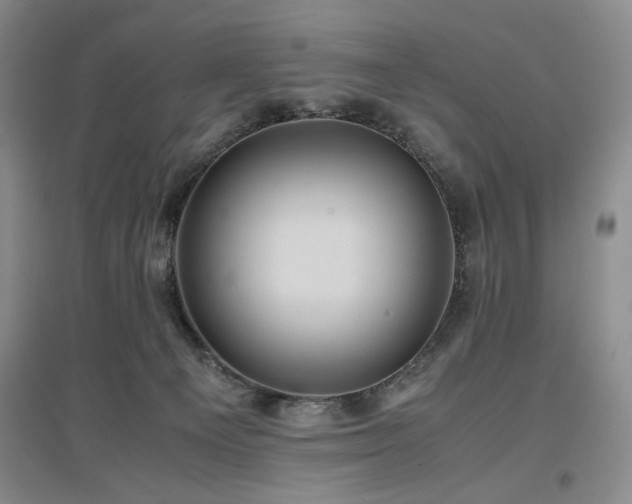 X0000097500129200802221453