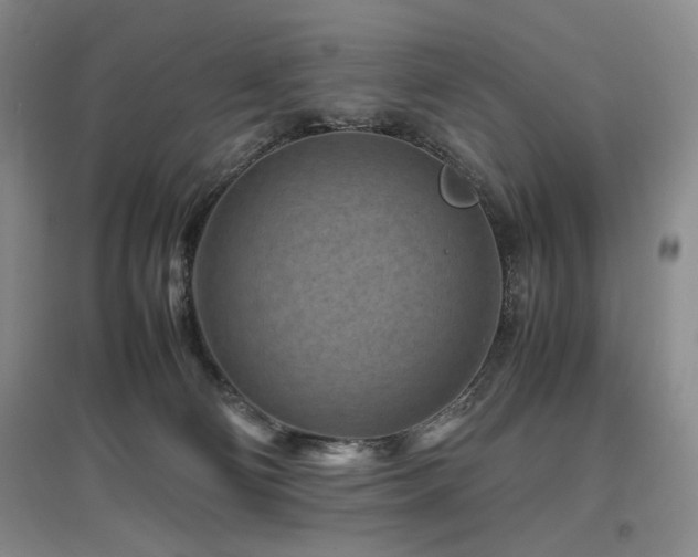 X0000097500130200802221453