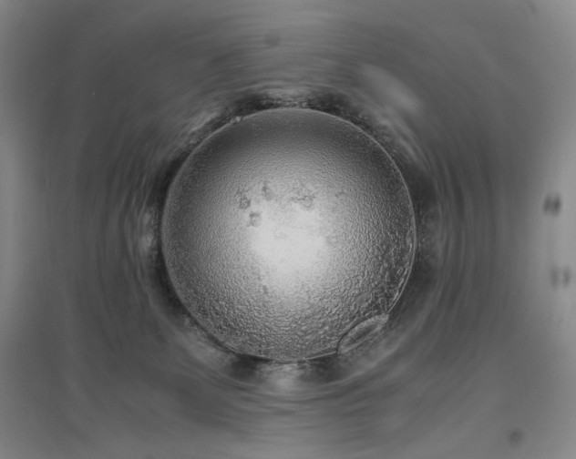 X0000097500131200802221453