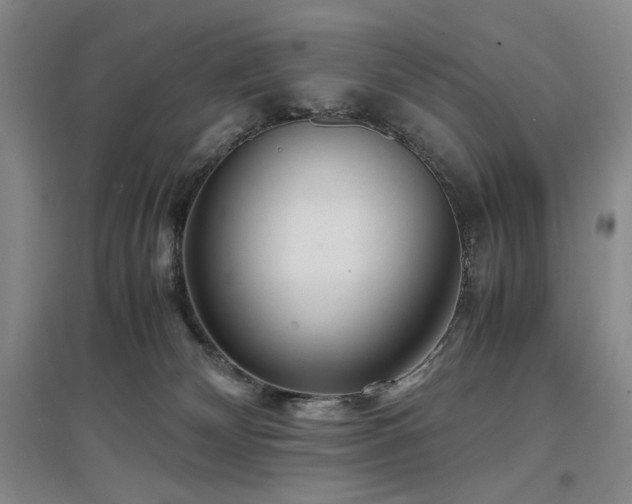 X0000097500132200802221453