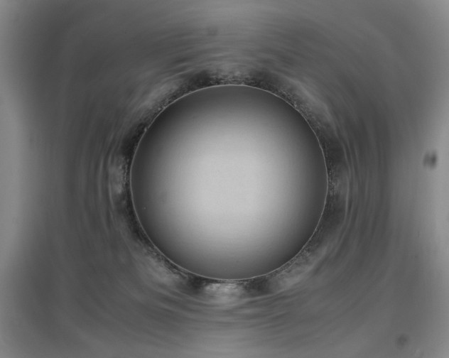 X0000097500133200802221453