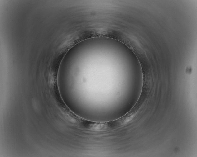X0000097500135200802221453