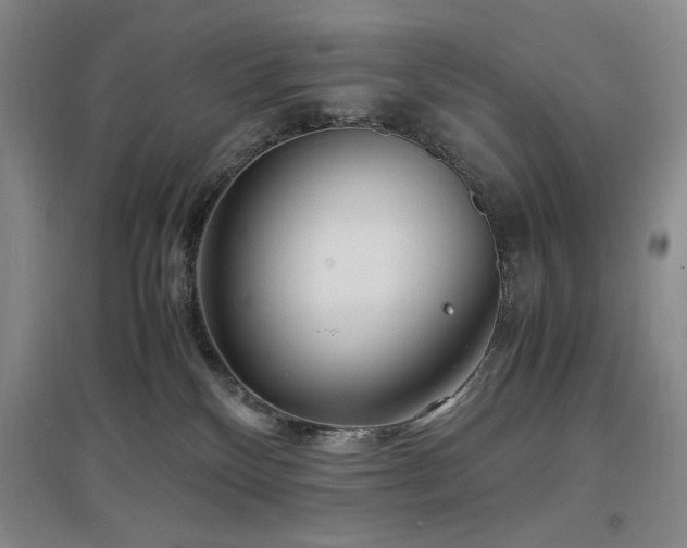 X0000097500136200802221453