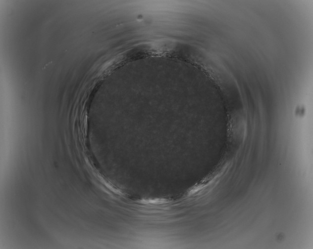 X0000097500137200802221453