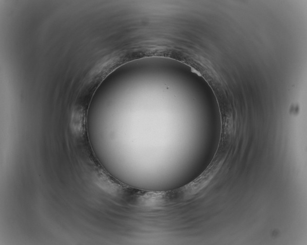 X0000097500138200802221453