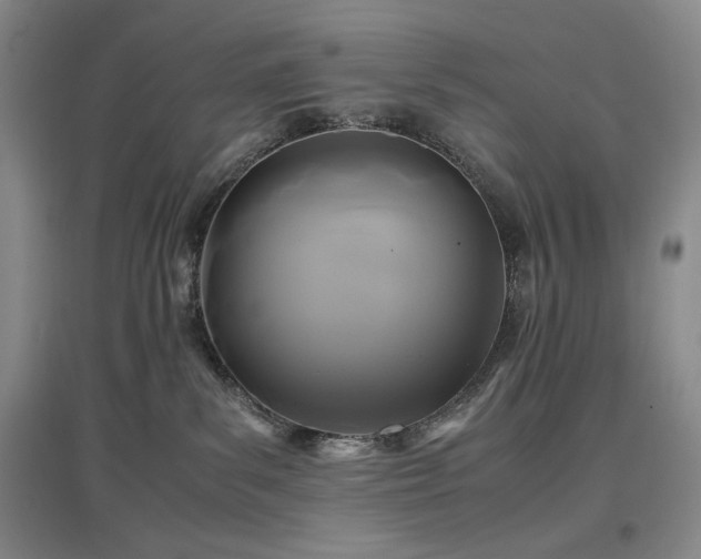 X0000097500139200802221453