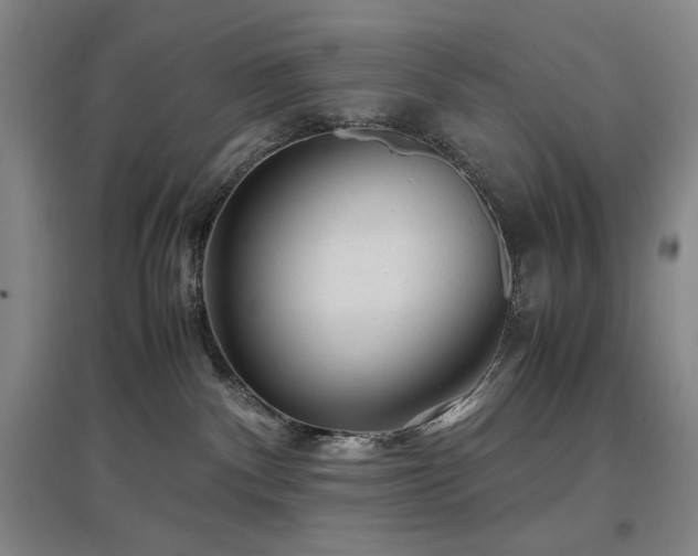 X0000097500140200802221453