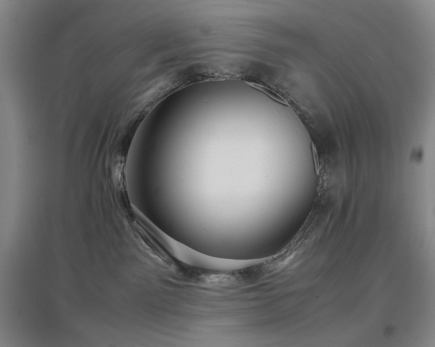 X0000097500141200802221453