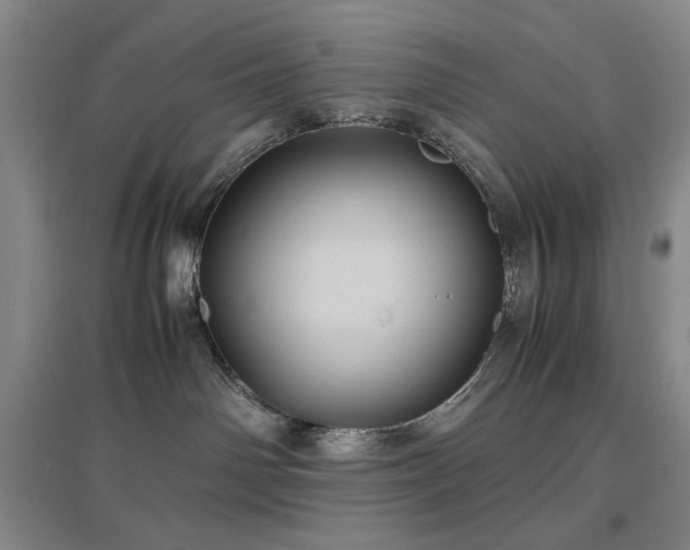 X0000097500142200802221453