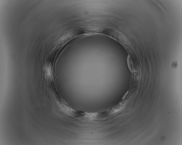 X0000097500143200802221453
