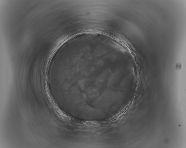 X0000097500145200802221452