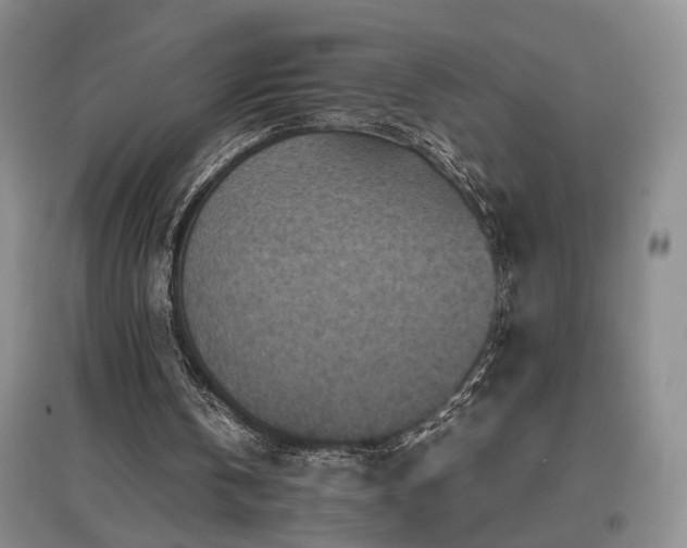 X0000097500146200802221452