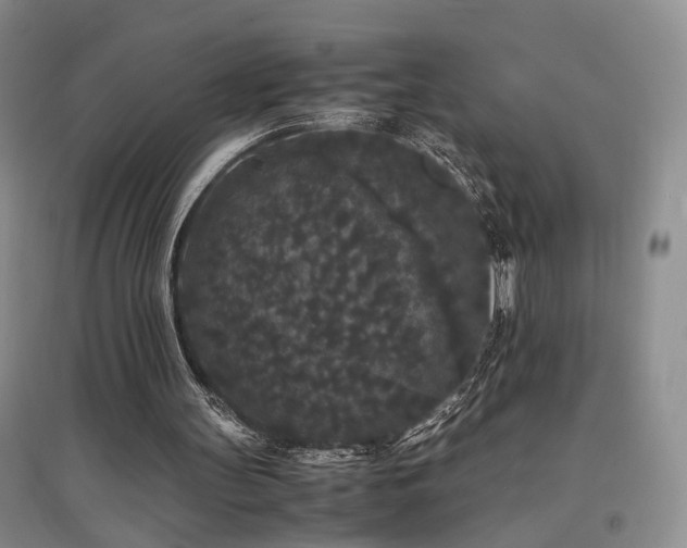 X0000097500147200802221452
