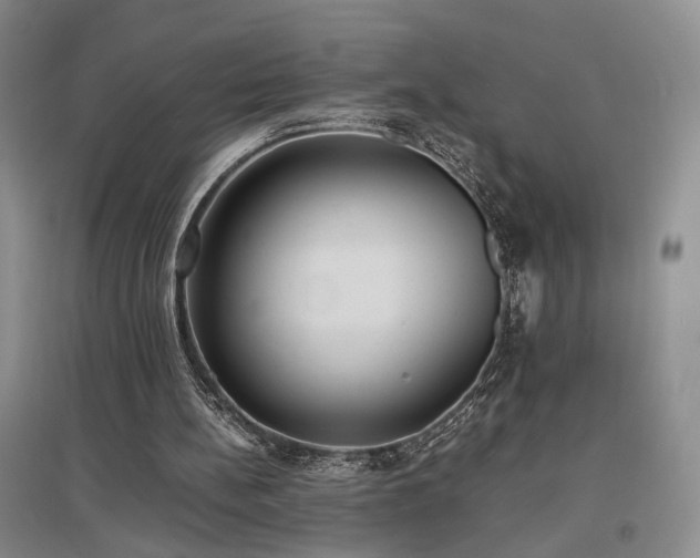 X0000097500148200802221452