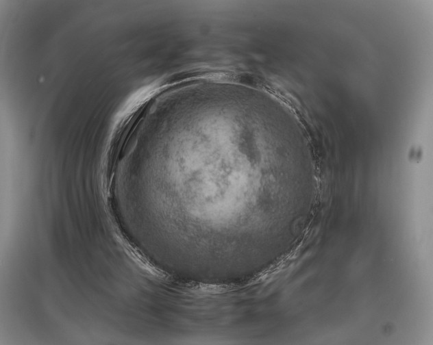X0000097500149200802221452