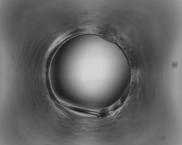 X0000097500150200802221452