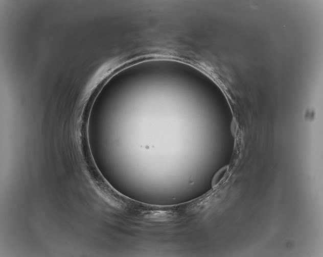 X0000097500151200802221452