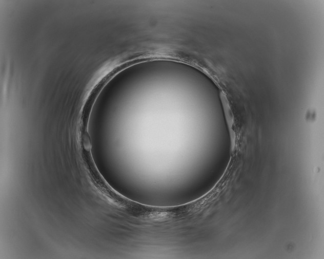X0000097500152200802221452