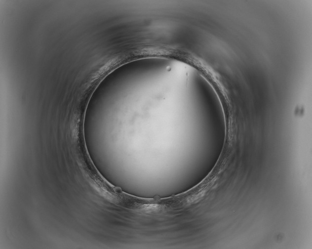 X0000097500153200802221452